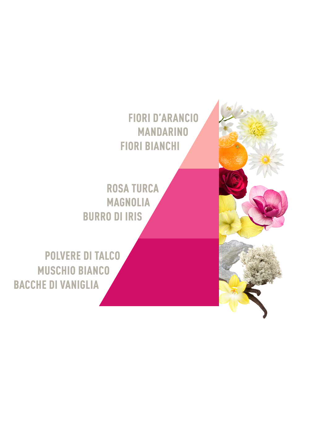 Laundry Perfume Talcum Powder and Organic Magnolia