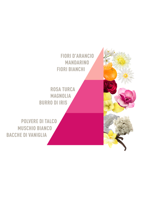 Profuma Bucato Talco e magnolia bio