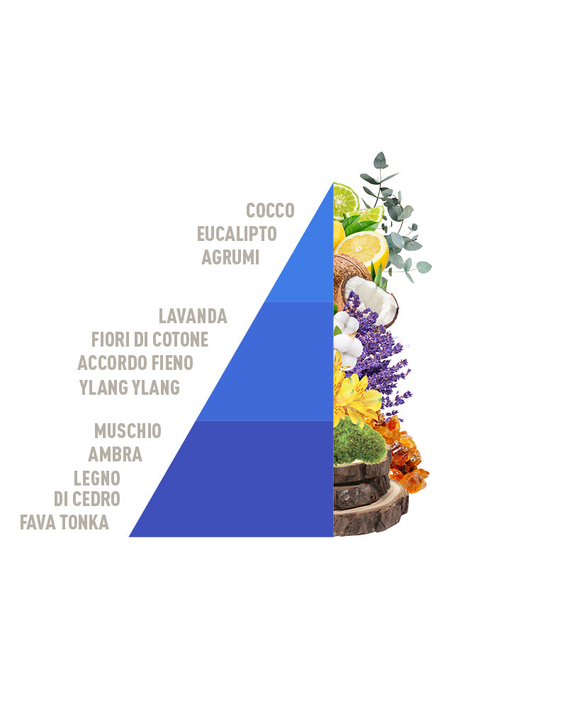 profuma bucato cotone e fiordaliso