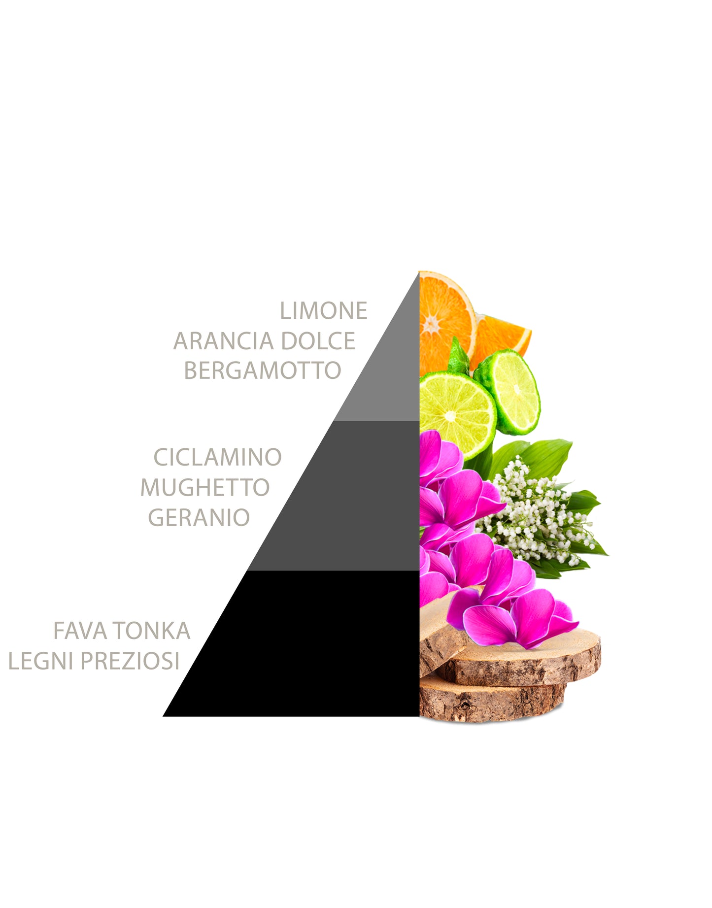 Profuma Bucato Liberty