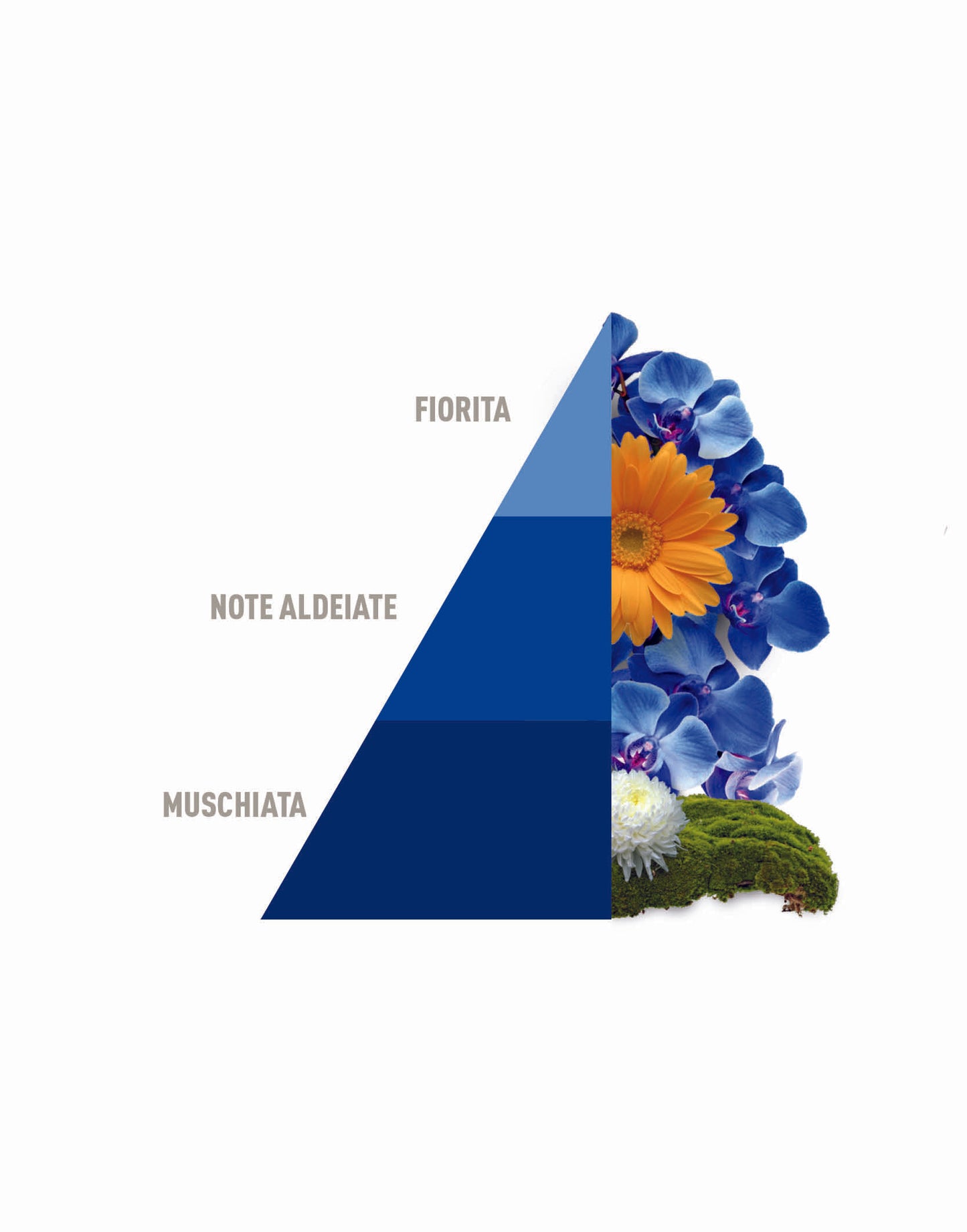 Deo Tessuti Spray Blue