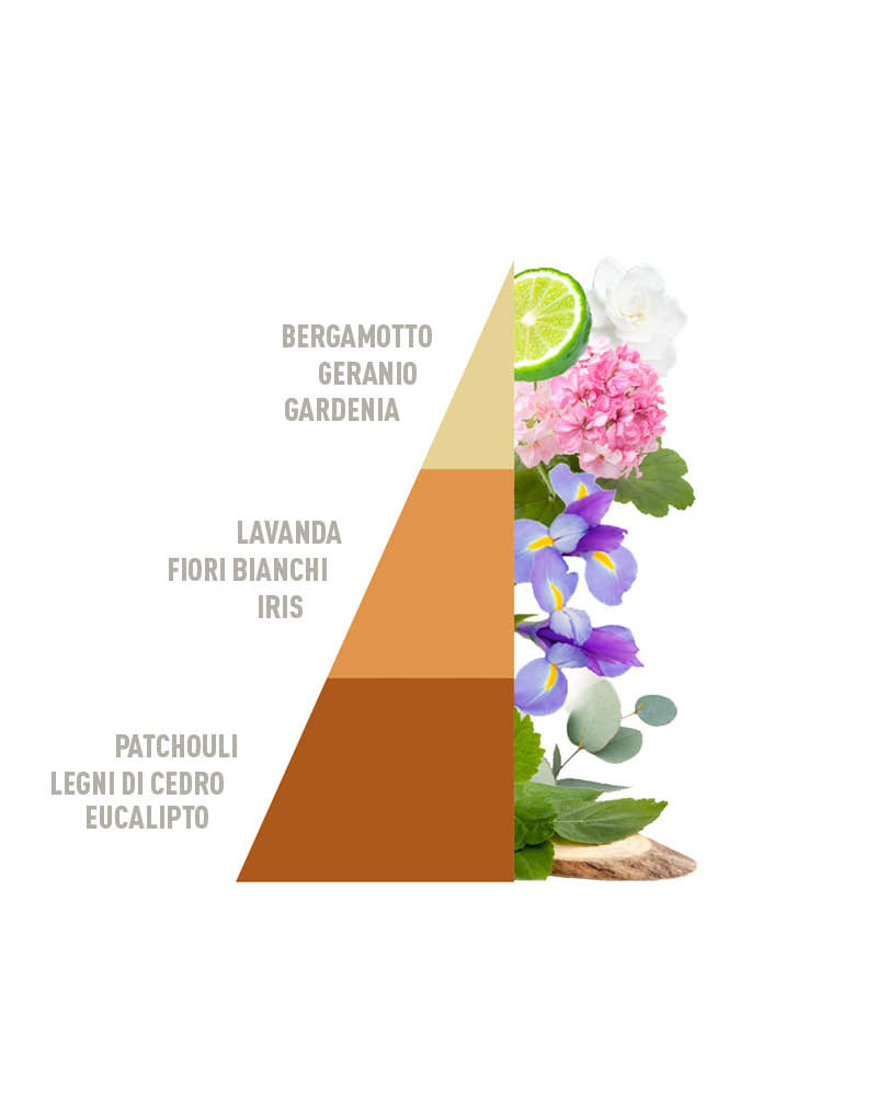 Elixir Laundry Perfume