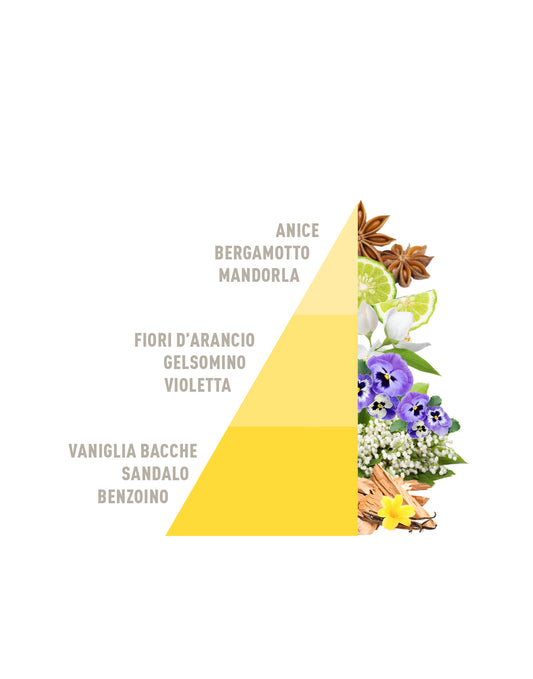 Ricarica per Diffusore a Bastoncini Vaniglia e benzoino 500ml