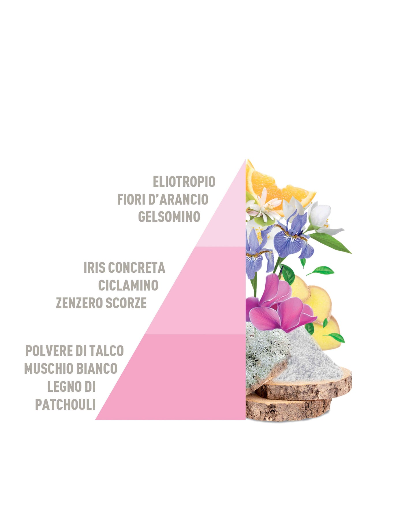 Profuma Bucato Baby Talco