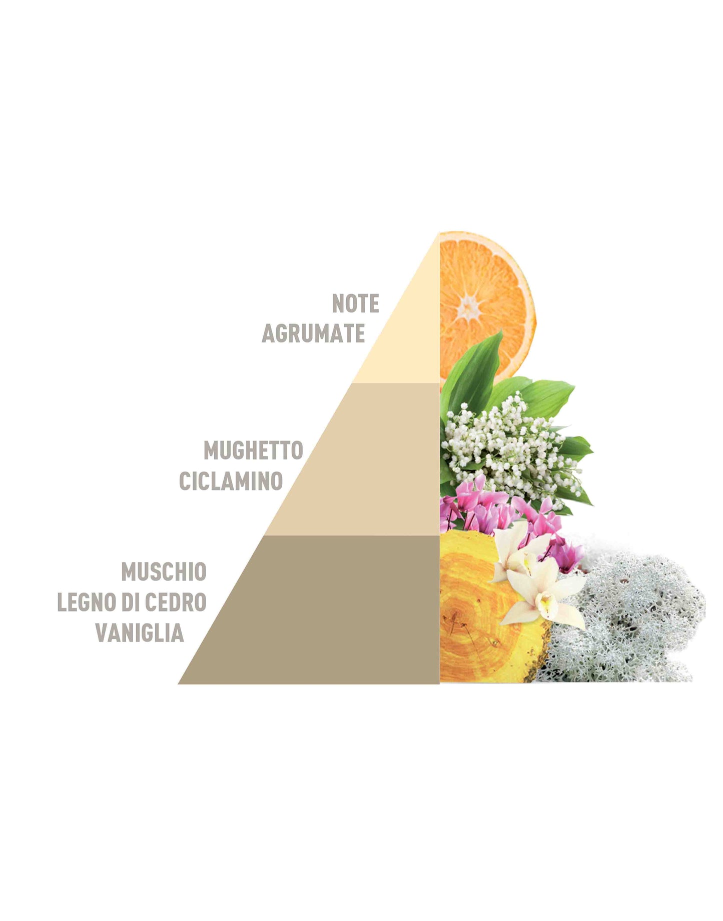 Profuma Bucato Gold Argan