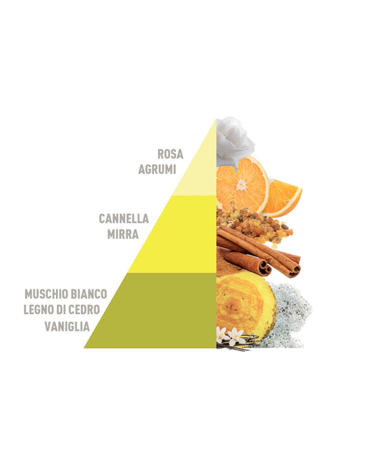Profumatore Bifase Vaniglia e Mirra 500ml