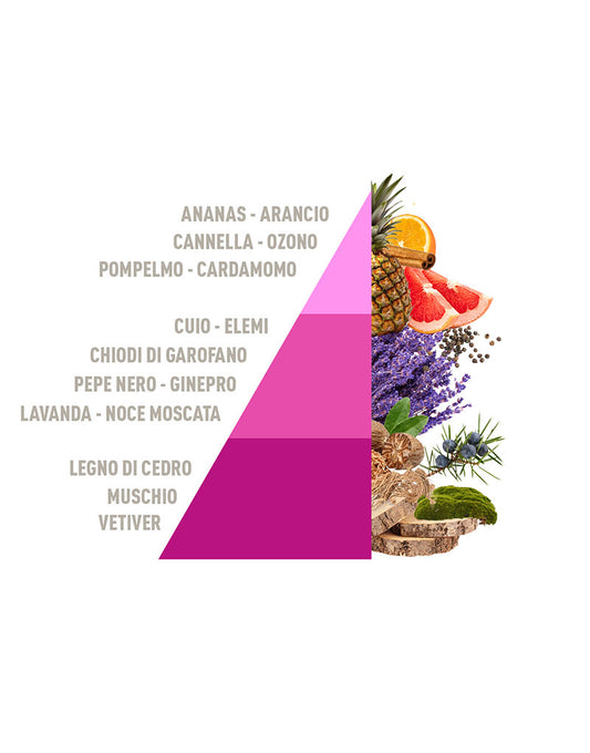 Diffusore Spray Aromatic Freshness 50ml