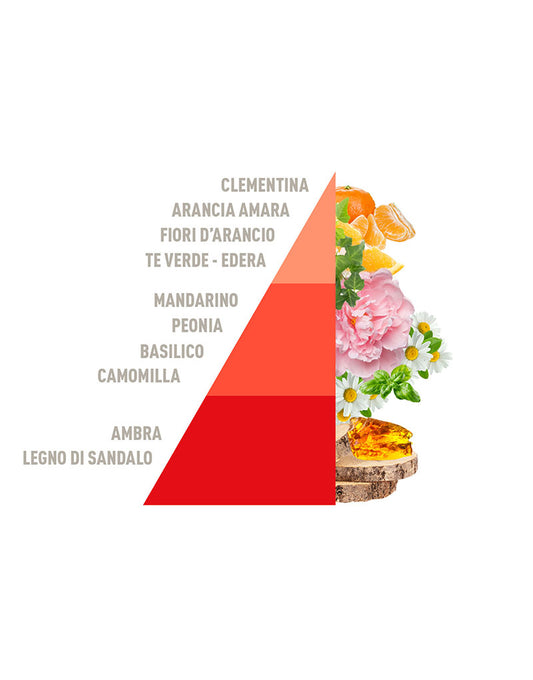 Diffusore Rattan Vibes Tangerine & Basil 200ml