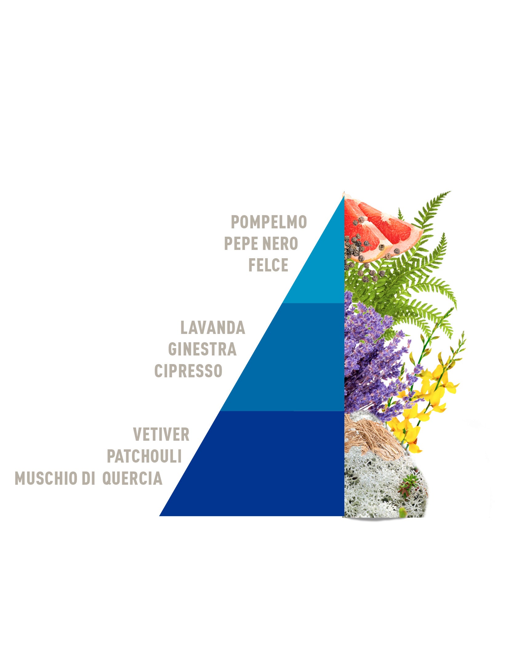 Ricarica per Diffusore a Bastoncini Fiori blu 500ml