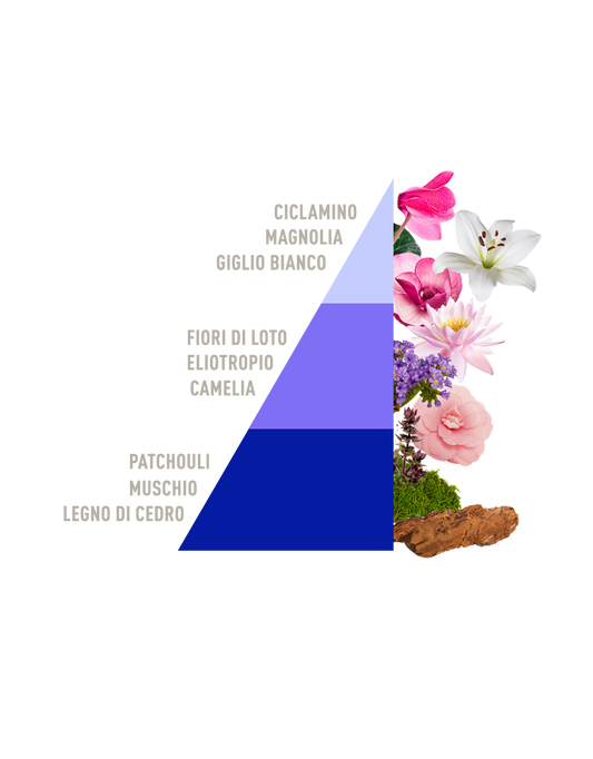 Profuma Bucato Loto e patchouli bio