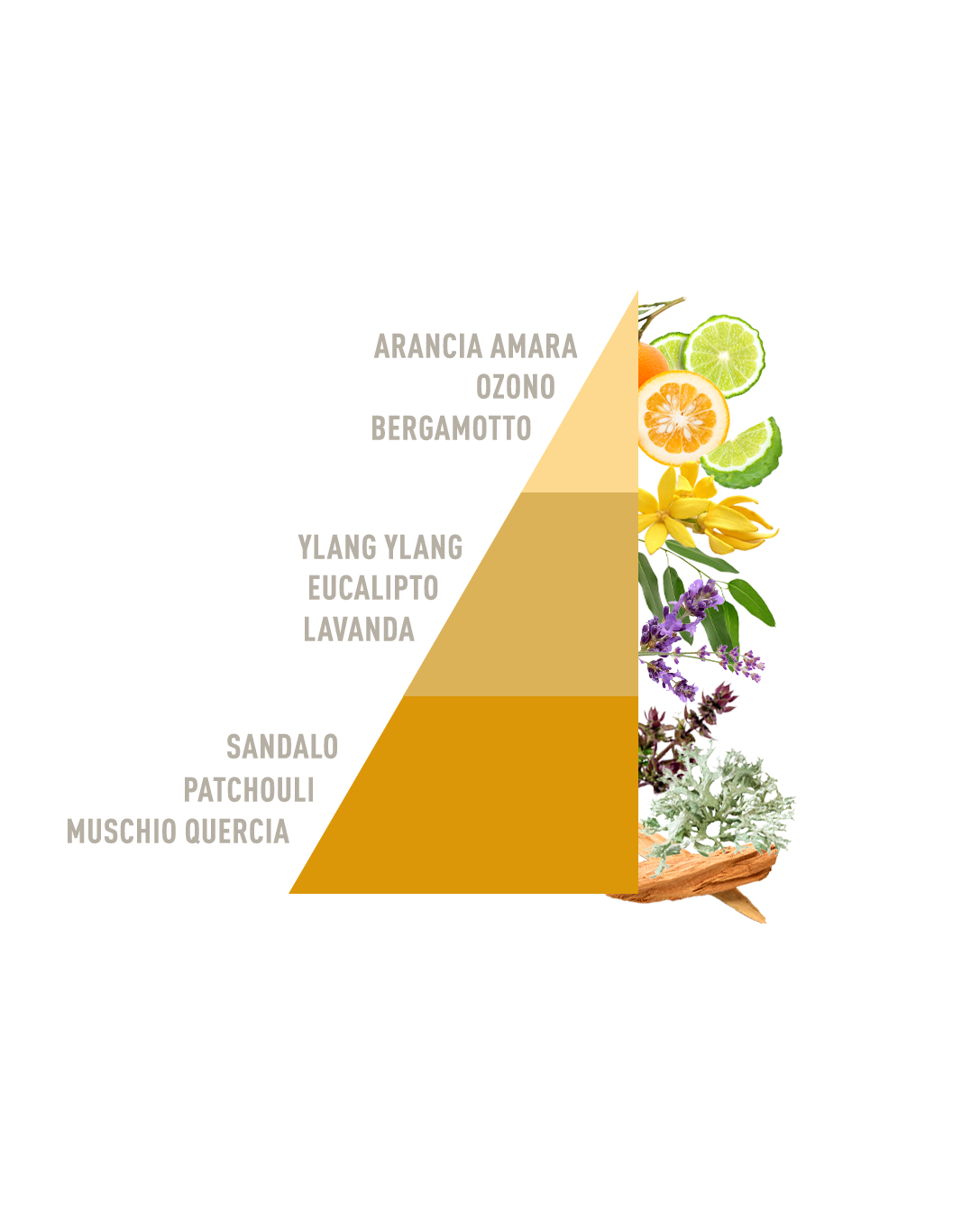 Profuma Bucato Sandalo e Ylang Ylang bio