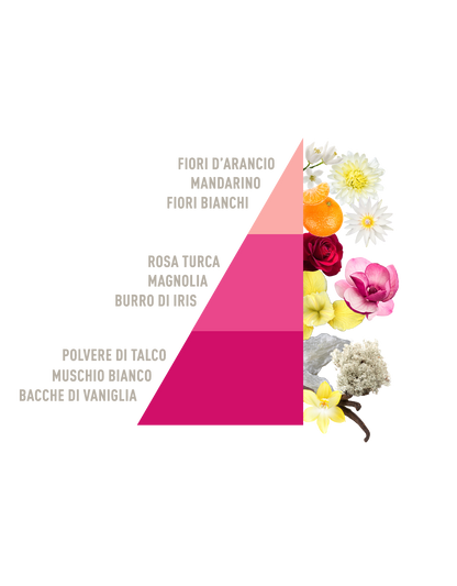 Profuma Bucato Talco e magnolia bio