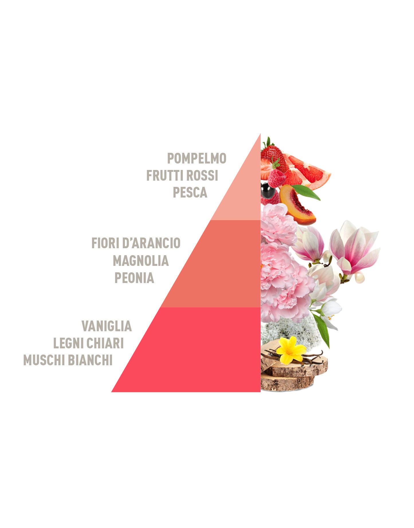 Profuma Bucato Corallo