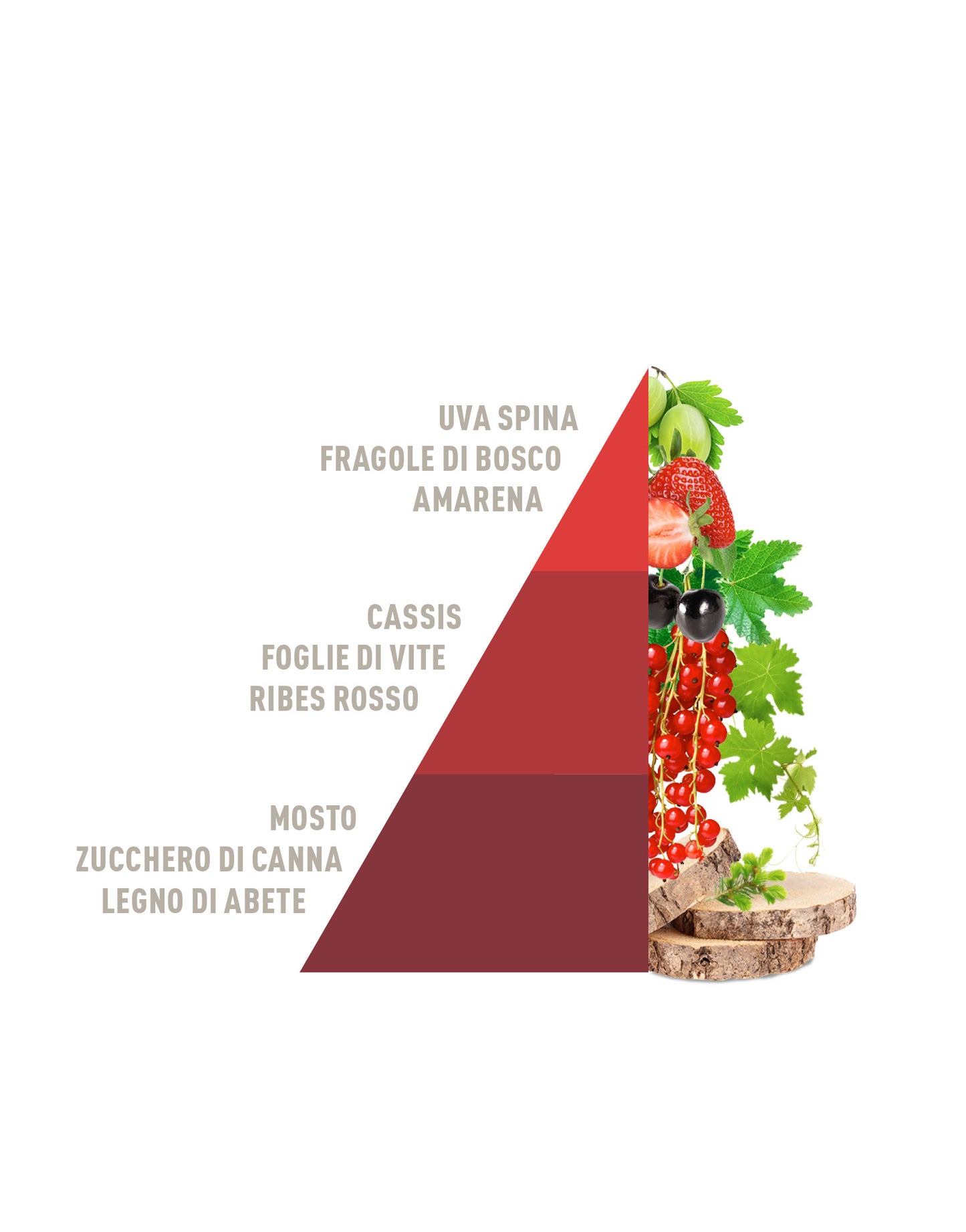 Diffusore a Bastoncini Vigneto rosso 200ml