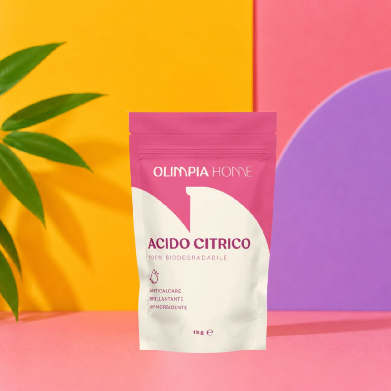 Acido Citrico Anidro OH 250gr