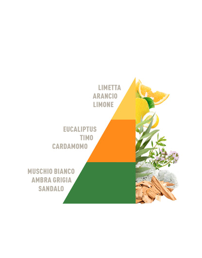 Diffusore a Bastoncini All’ombra degli Aranci 200ml