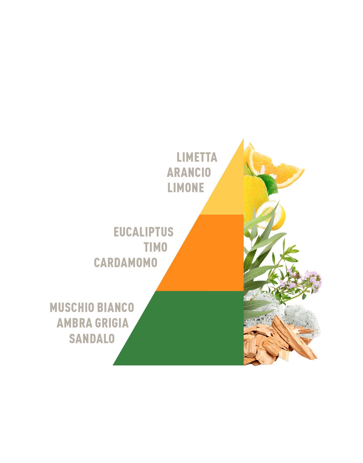 Ricarica per Diffusore a Bastoncini All’ombra degli Aranci 500ml
