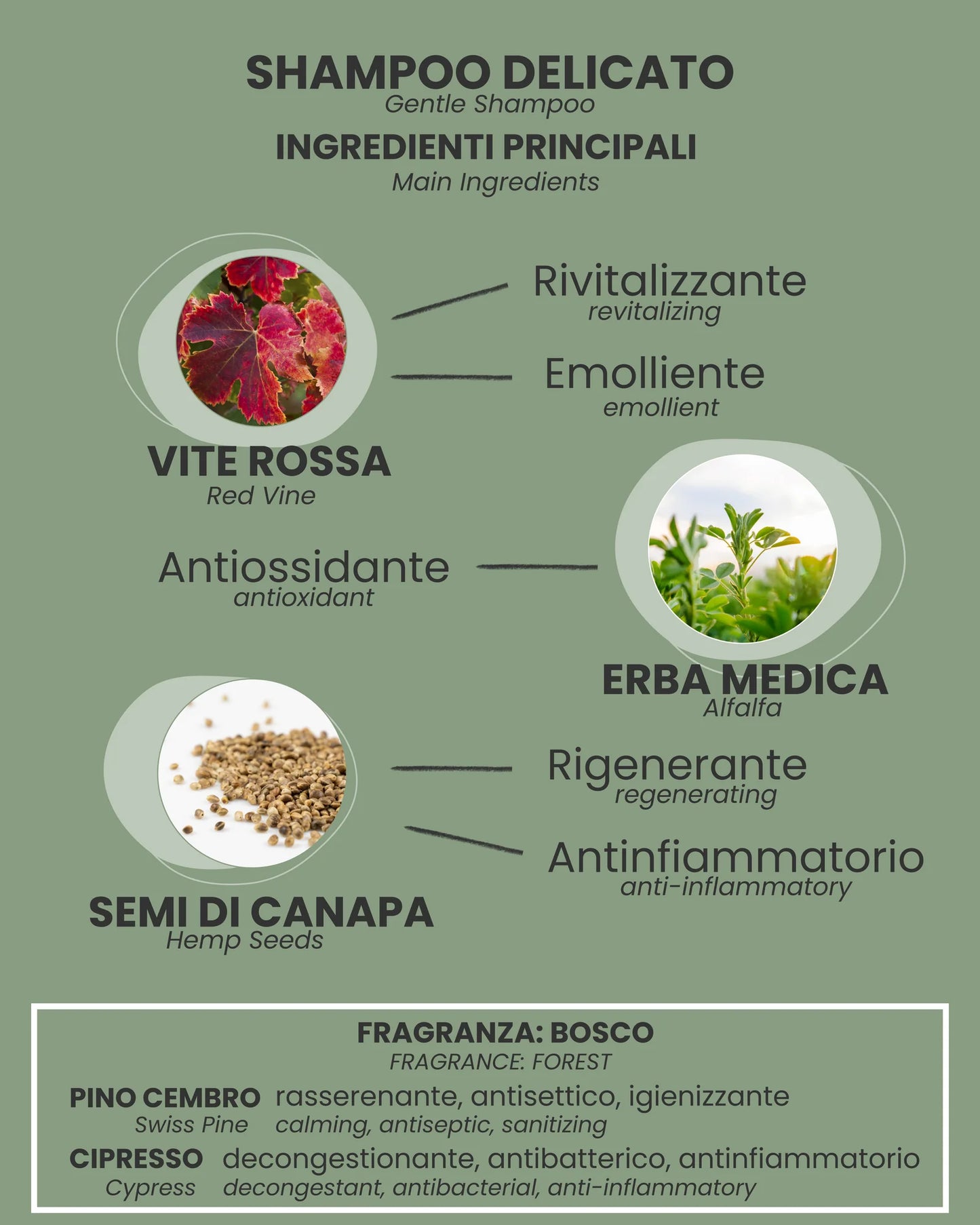 SHAMPOO DELICATO 250ml