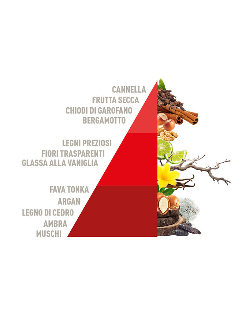 Profuma Bucato Legni Preziosi