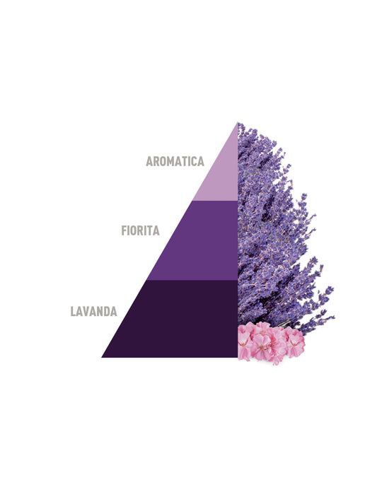 Profuma Bucato Aromatic lavender