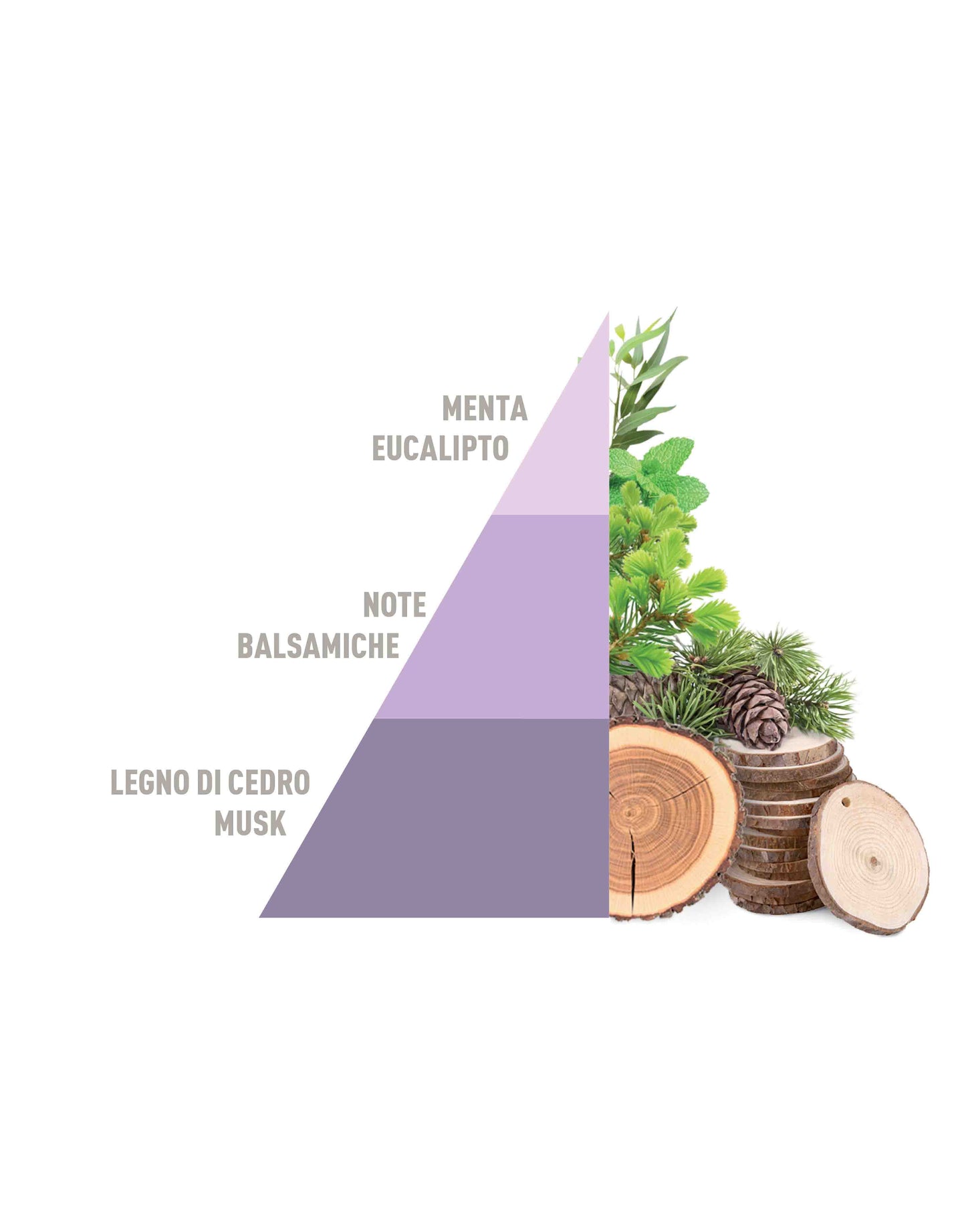 Horo3 - Aromatic Lavender, Brezza di Primavera, Petali di Peonia, Baby talco da 50ml