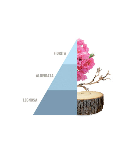 Deo Tessuti Spray Fresh cotton