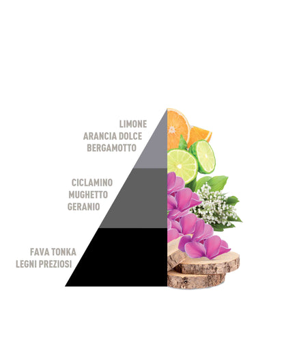 Profumatore Bifase Liberty 500ml