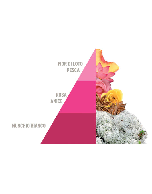 Deo Tessuti Spray Muschi e loto