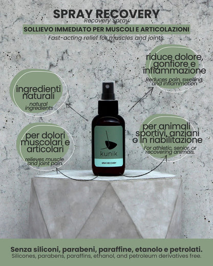 SPRAY RECOVERY 100ml