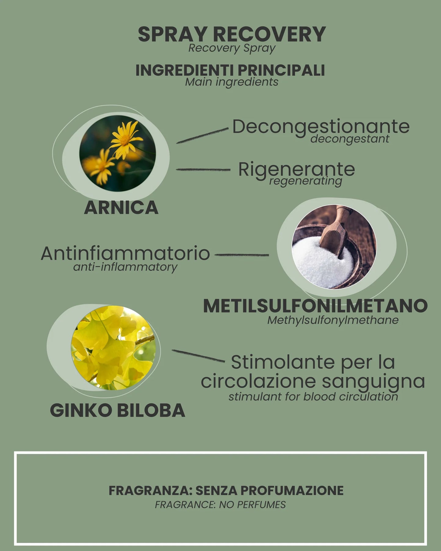 SPRAY RECOVERY 100ml