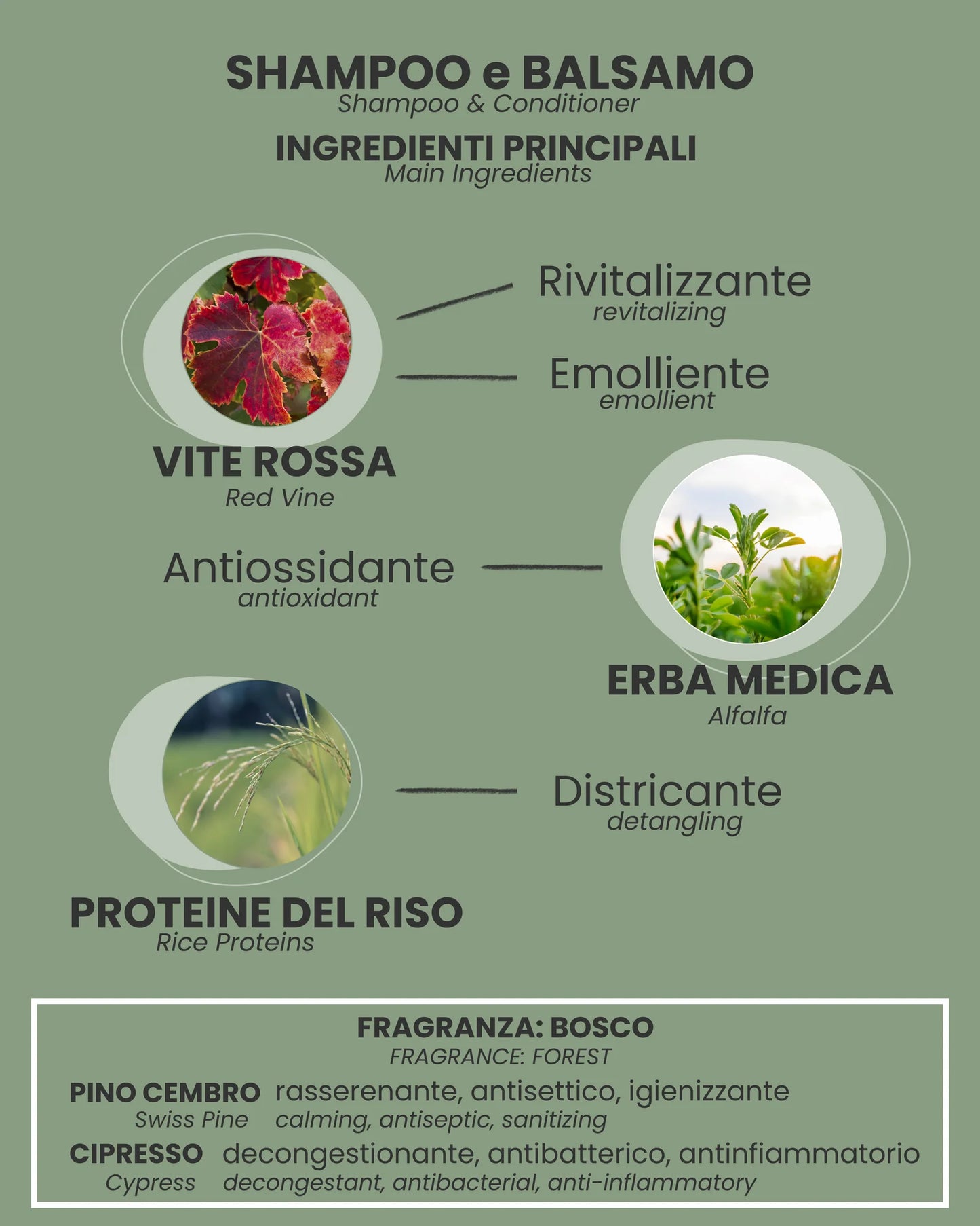 SHAMPOO e BALSAMO 250ml