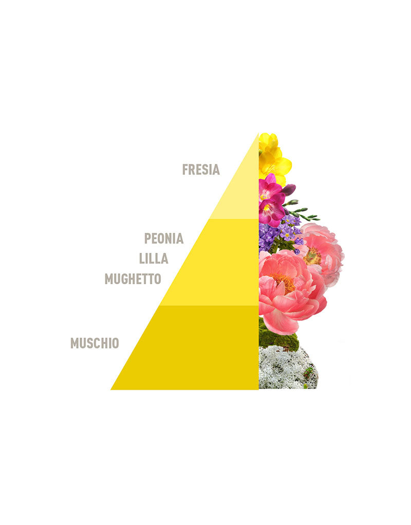 Diffusore Spray Blooming Cotton 50ml