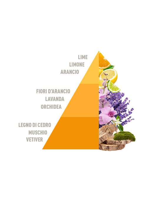 Ricarica per Diffusore a Bastoncini Lime & Vetiver 500ml