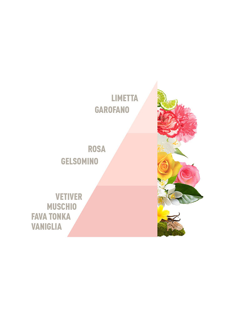 Rattan Vibes Pure Musk Diffuser 200ml