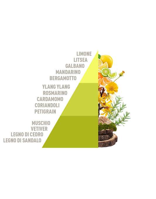 Diffusore Spray White Tea & Tangerine 50ml