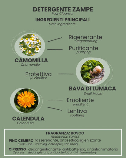 DETERGENTE ZAMPE
